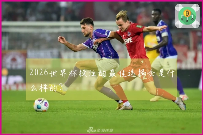 2026世界杯投注的最佳选择会是什么样的？