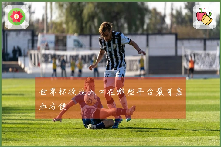 世界杯投注入口在哪些平台最可靠和方便