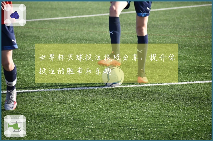 世界杯买球投注技巧分享，提升你投注的胜率和乐趣